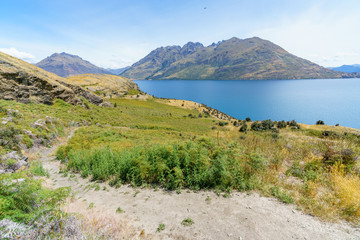 hiking jacks point track with view of lake wakatipu, queenstown, new zealand 73