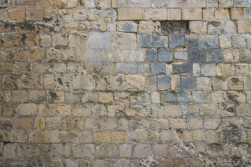 Obraz premium brick wall texture for background