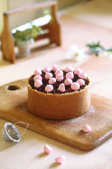 Chocolate Truffle Cake on a Graham Cracker Crust, decorated with pink meringue cookies, on a light background.