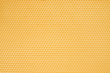Honeycombs with honey. Natural background. Nectar beekeeping. Frames of a beehive. texture of honey. wax for health