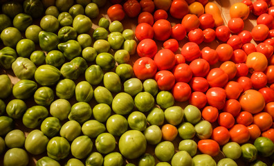 fresh tomatoes. red ripe and green unripe cherry tomatoes closeup top view. a small crop of tomatoes