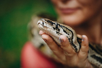 Pretty woman holds big snake, shallow dof, focus on snake head