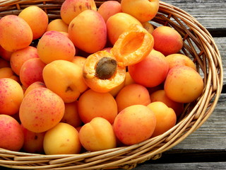 fresh apricots in a basket on wooden table. apricot pits	
