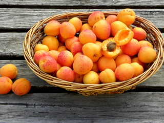 fresh apricots in a basket on wooden table. apricot pits	
