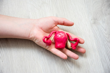 In palm of hand lying on wooden floor, is anatomical model of uterus with ovaries. Concept photo depicting uterus illness such as cancer as cause of death, organ donation after death of patient