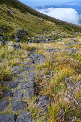 Fototapeta na wymiar 鳥海山の登山道と草紅葉