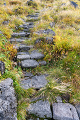 鳥海山の登山道と草紅葉