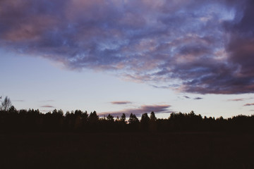 Pink sunset on the background of the silhouette of the forest. Lilac clouds in the sky at dusk. Beautiful scenery.