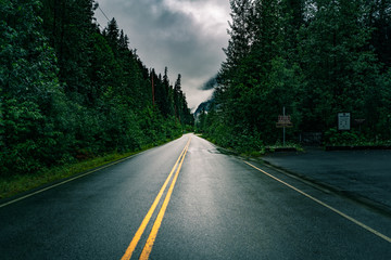 Naklejka premium Endlose Lange und Nasse Straße in Natur am Abend mit bewölktem Himmel