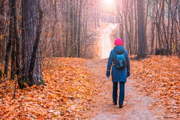 Obraz premium A woman walks along a path in a park in a forest in autumn in warm clothes.