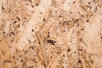 Plywood board texture.  Compressed sawdust panel background. Wood surface for interior design and decoration.