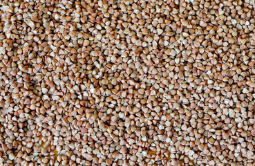 Clouse up of raw buckwheat. Background
