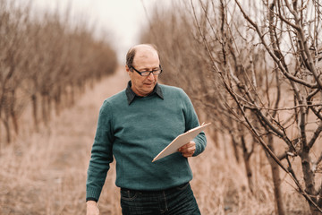 Caucasian balding agronomist with eyeglasses looking at clipboard and standing in orchard.
