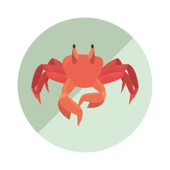 crab marine wildlife icon vector ilustration