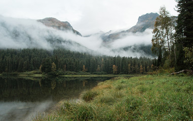 Misty morning. Morning at the lake. Trees on the river Bank on a foggy morning. Landscape. mountains