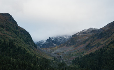 Fototapeta premium morning mist. Picturesque and magnificent morning scene. known resort area located in the valley. Glacier. in a low cloud with evergreen conifers shrouded in mist in a picturesque landscape