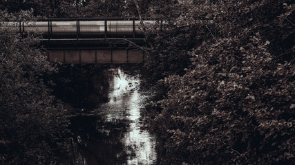 Post-apocalyptic stream. gloomy trees, bridge, pipe.