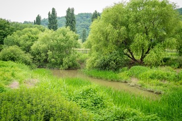 Fototapeta premium Riverside swamp park in a city of Seoul, South Korea.