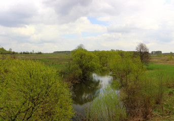 Fototapeta na wymiar Spring rural landscape of a small river at field with bright green trees on shores in overcast day