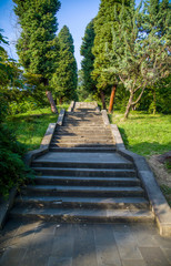 stairs leading to a tropical park