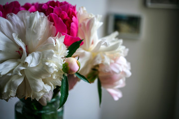 Gorgeous white and pink pions in a glass vase on the table with some light close up