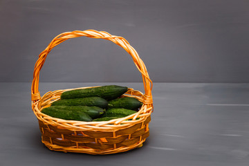 cucumbers in a wicker basket on a gray background