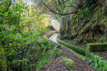 Fototapeta na wymiar Levada do Norte near Miradouro on the island of Madeira. Leavdas are irrigation channels specific to the island.