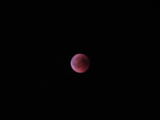 Eclissi Lunare
