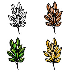 vector set of autumn leaves isolated on white background