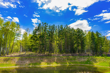 forest lake_bright sun_big shadows from trees