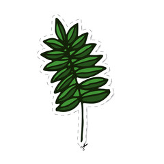 vector leaf sticker with outline