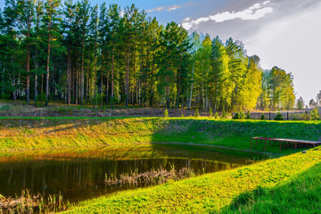 summer landscape_ lake_ forest_evening