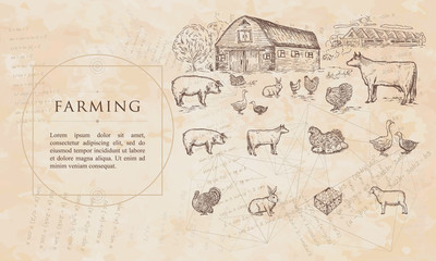 Farming. Cows, geese, chickens, pigs, turkey, farm house. Renaissance background. Medieval manuscript, engraving art