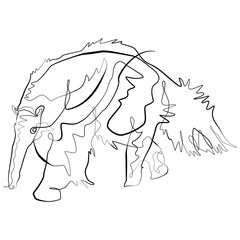 Anteater one line drawing. Continuous Line Animal Vector Art