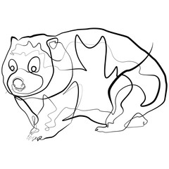 Wombat one line drawing. Australian animal continuous line Vector Art