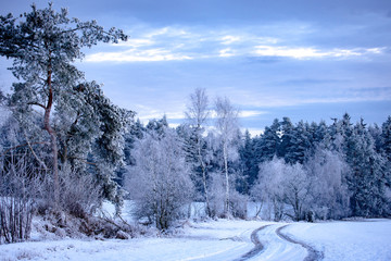 winter landscape in South Bohemia, Czech Republic
