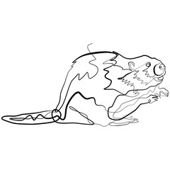 Beaver one line drawing. Continuous line Wildlife Animal Vector Art