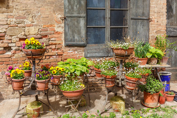 Fototapeta na wymiar Flower arrangement at the backyard