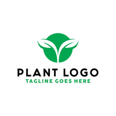 Agriculture logo design with green Plant vector concept and nature icon. Plant logo for agricultural, Garden, Bio Eco, Organic, farmer and plantation products.