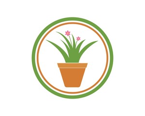 Fototapeta premium plant in pot illustration vector template
