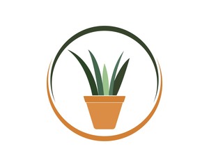 plant in pot illustration vector template