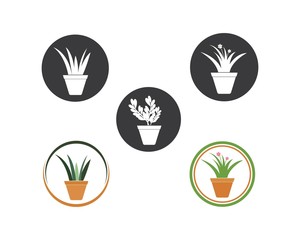 plant in pot illustration vector template