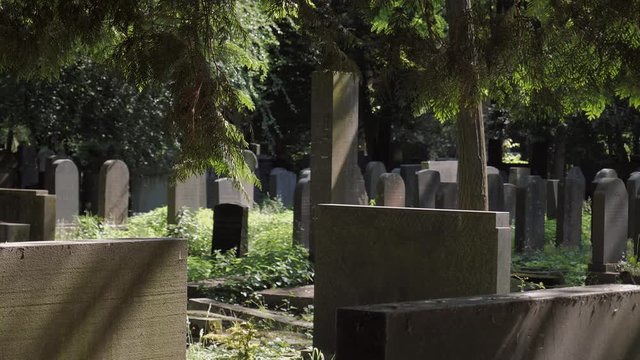 Jüdischer Friedhof, alte Grabsteine