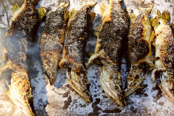 Traditional baked fish on a bed of salt in Danube Delta