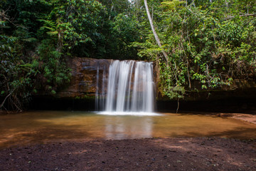 Waterfall in nature with native vegetation refers to healthy life.