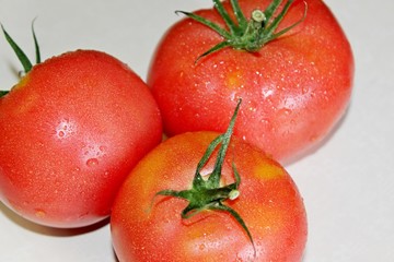 tomato on a white background