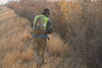 Hunters with a german drathaar and spaniel, pigeon hunting with dogs in reflective vests	
