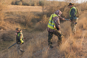 Hunters with a german drathaar and spaniel, pigeon hunting with dogs in reflective vests	