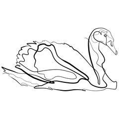 Swan one line drawing. Continuous line Animal Vector Art