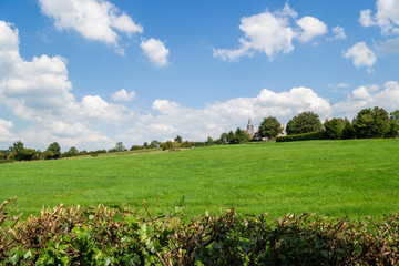 Pr&eacute; vert dans une campagne belge.